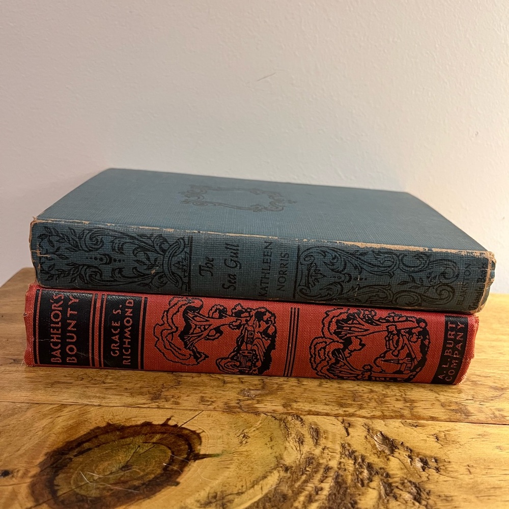 Vintage Decorative Book Set in Blue and Red